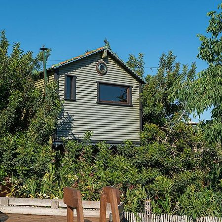 Casa Del Arbol - Tierra De Arte Villa San Jorge  Eksteriør bilde